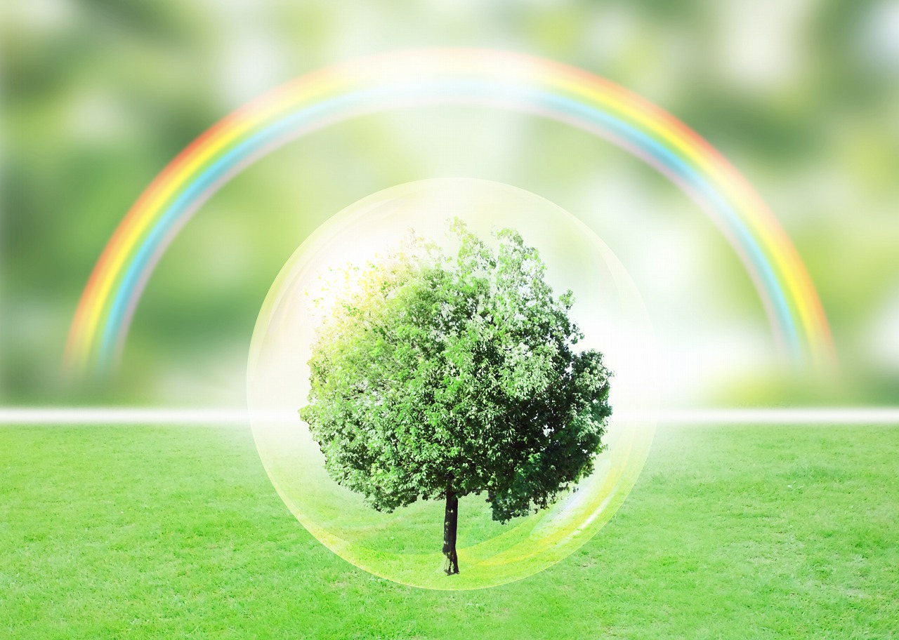 meditation-brain-activation