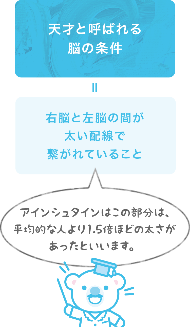 子どもの心を育てる5つのポイント 1. 無条件の愛を与え、子どもを尊重して育てる。 2. 子どもの中に必要な力があると信じる。 3. 一緒に喜び、一緒に感動、暖かく見守る。 4. 知育に偏らず、徳育を大切にする。 5. あるがままの姿を認めて、比較をしない。