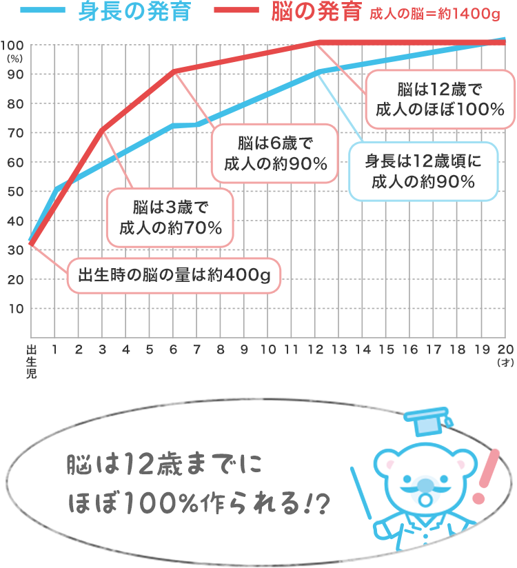 脳は12歳までにほぼ100%作られる!?