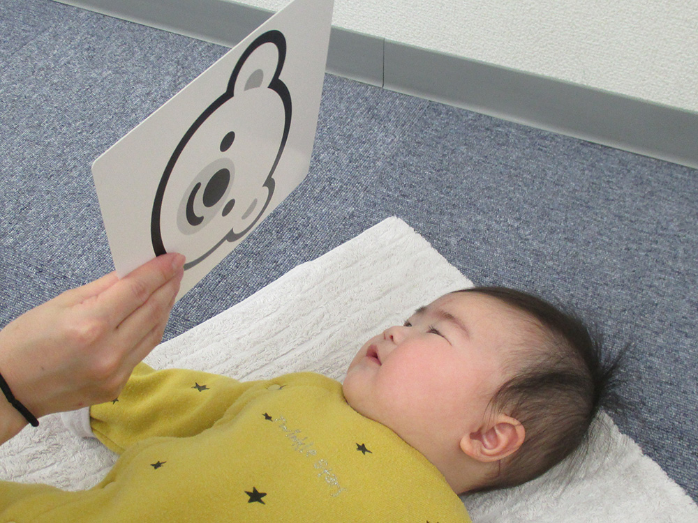 ベビーコース5月分